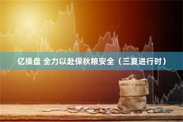 亿操盘 全力以赴保秋粮安全（三夏进行时）