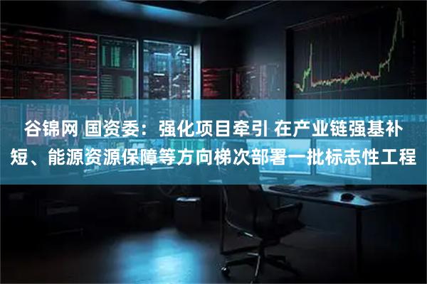 谷锦网 国资委：强化项目牵引 在产业链强基补短、能源资源保障等方向梯次部署一批标志性工程