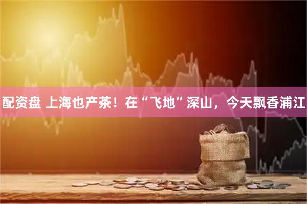 配资盘 上海也产茶！在“飞地”深山，今天飘香浦江